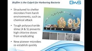 Understanding Legionella Risk Management in Cooling Towers, Compliance Solutions Us