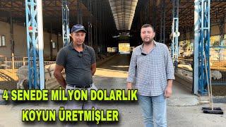 100 KOYUNDAN 4 SENEDE 1000 KOYUNA MİLYON DOLARLIK ASAF VE LAGUN KOYUN ÇİFTLİĞİ