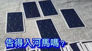 塔羅問事：河馬 志華 翁靜晶