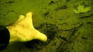 SCUBA Treasure: Freshwater Finds