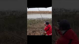 fishing videos #shorts