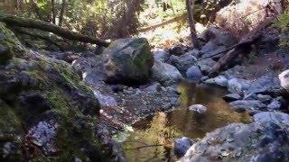 Willow Creek near old swinging bridge site, Silver Peak Wilderness