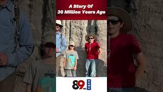 30 Cror Years Old Dinosaur Fossils Found in USA | Jurassic World | 89 News HD