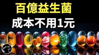 益生菌的成本到底有多低? 沒膠囊能活過胃酸嗎? 真正的補充方法你絕對不敢試! 整腸消化 乳酸菌 比菲德氏菌 龍根菌 優格 優酪乳