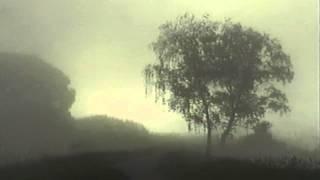 Tetsu Inoue - Zen