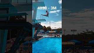 403B 3 Meter dive - RIPFEST WUTWUT