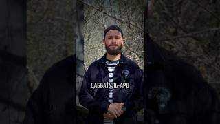 Одним из больших признаков Конца Света является появление даббатуль-ард.#ислам #думу #исламскиевидео