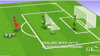 Goalkeeper Blocking/Smothering in a 1v1, animated session