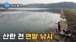 [다시 보기] FTV 꾼의 선택 - 산란 전 연밭 낚시 (2024.03.25.방송)