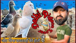 Sahil Bhai Ke Kabooatar Ka Shok | Delhi Pigeon Lover | X Fighter Birds