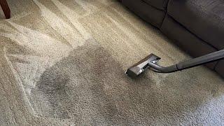 Really Dirty Carpet Cleaning With Pet Stains!!! WOW!