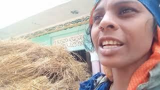 dhan ki pitai#new #viral #video #youtube #sarita Patel