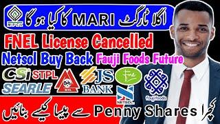 PSX | MARI Petroleum Analysis | Netsol Buy Back | Fnel License Cancelled | Penny Shares Psychology