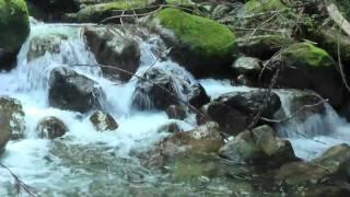 Water Sounds of One