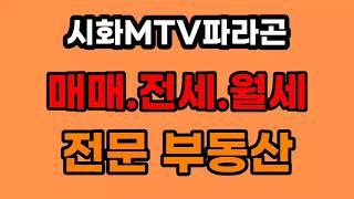 시화mtv파라곤 매매.전세.월세  -  매물접수 / 시세상담해드려요