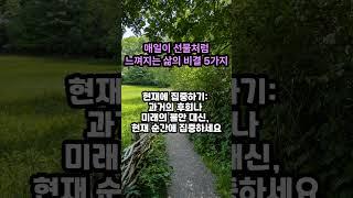매일이 선물처럼 느껴지는 삶의 비결 5가지 #명언 #건강 #노년 #인생의도전 #좋은글 #지혜