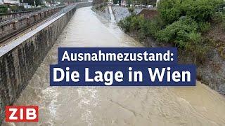 Hochwasser in Wien: Die aktuelle Lage | ZIB Spezial vom 16.09.2024