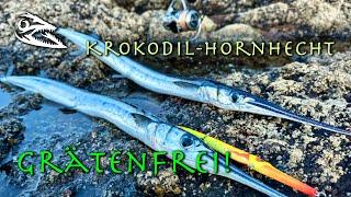 Krokodil-Hornhechte grätenfrei filetieren!