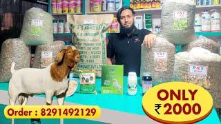 2000 me Bakre ki Full month ki Weight Gaining Diet  | P&S Agro