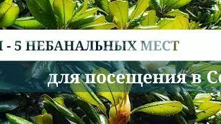 ТОП 5 небанальных мест для посещения в Сочи. Необычные достопримечательности Сочи