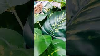 bhakti song#youtubeshorts #song #bholenthbhajn #sorts