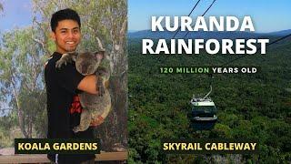 I hugged a KOALA deep inside the RAINFOREST of CAIRNS AUSTRALIA