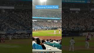 Daegu Samsung Lions Park (Samsung Lions)