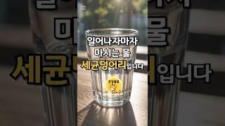 눈뜨자마자 마시는 물, 세균덩어리입니다. #건강정보 #건강 #건강관리