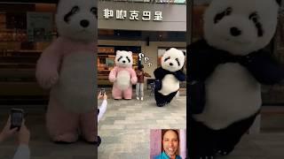 Cute panda funny prank   #youtubeshorts #funny #trending #shorts #shortvideo #video #viralvideo