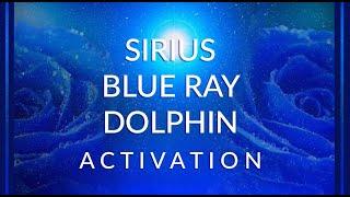 Sirius Blue Ray Dolphin Activation