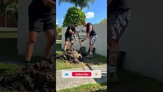 50mm Water Main Line Leakage Fixed   |  Water Meter Leaking Outside