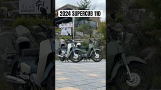 2024 슈퍼커브 펄 그레이 & 펄 그린, 당신의 선택은..? 