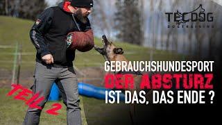 Der Absturzz des Gebrauchshundesport Teil 2