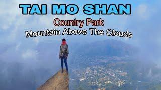 SOLO HIKING ⁉️ Tai Mo Shan Highest Peak in Hong Kong And The Route Full Guide