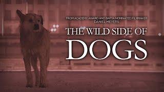 An animal documentary unlike any you have seen before | The Wild Side of Dogs | Full Film