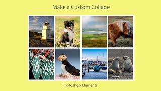 How to Make a Custom Collage