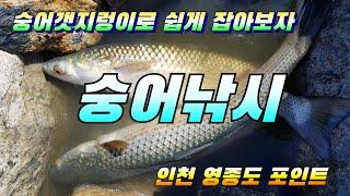 숭어낚시 인천 영종도 숭어포인트 원투낚시 왕산교 북측 방조제 mullet fishing