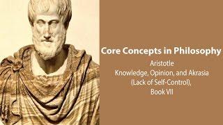 Aristotle, Nicomachean Ethics book 7 | Knowledge, Opinion, and Akrasia | Philosophy Core Concepts