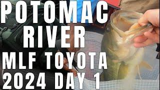 POTOMAC RIVER BASSFISHING 2024 MLF Toyota - Day 1