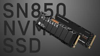 WD_BLACK™ SN850 NVMe™ SSD | Official Product Overview