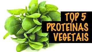 As Melhores Proteínas Vegetais Para Aprimorar a Sua Dieta | Autoridade Fitness