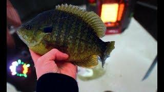 ICE FISHING PONDS FOR BIG GILLS - MINNESOTA