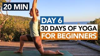 20 Min Beginner Yoga Routine (Day 6) 30 Days of Yoga For Beginners