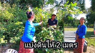 เจ้าของที่ดินจะแบ่งให้สาวแต๋ว 2 เมตร 2 พฤศจิกายน ค.ศ. 2024