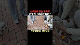 산책할때 짖는 강아지 교육 방법!