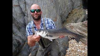 5lb bass (South Devon Bass Guide) taken on a surface lure.