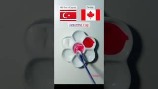 Canada Flag #satisfyingcolor #colormixing #foryou #asmr