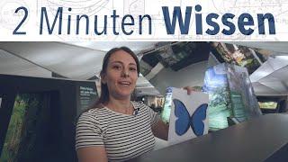 2 Minuten Wissen: Farben, die niemals ausbleichen [FAU Science]