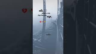 bangla stutes #tiktok #shote video#vairal#Shamim ahmed