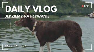 DAILY VLOG: ZABIERAM PIĘĆ PSÓW NA PŁYWANIE | PAULINA I PSY